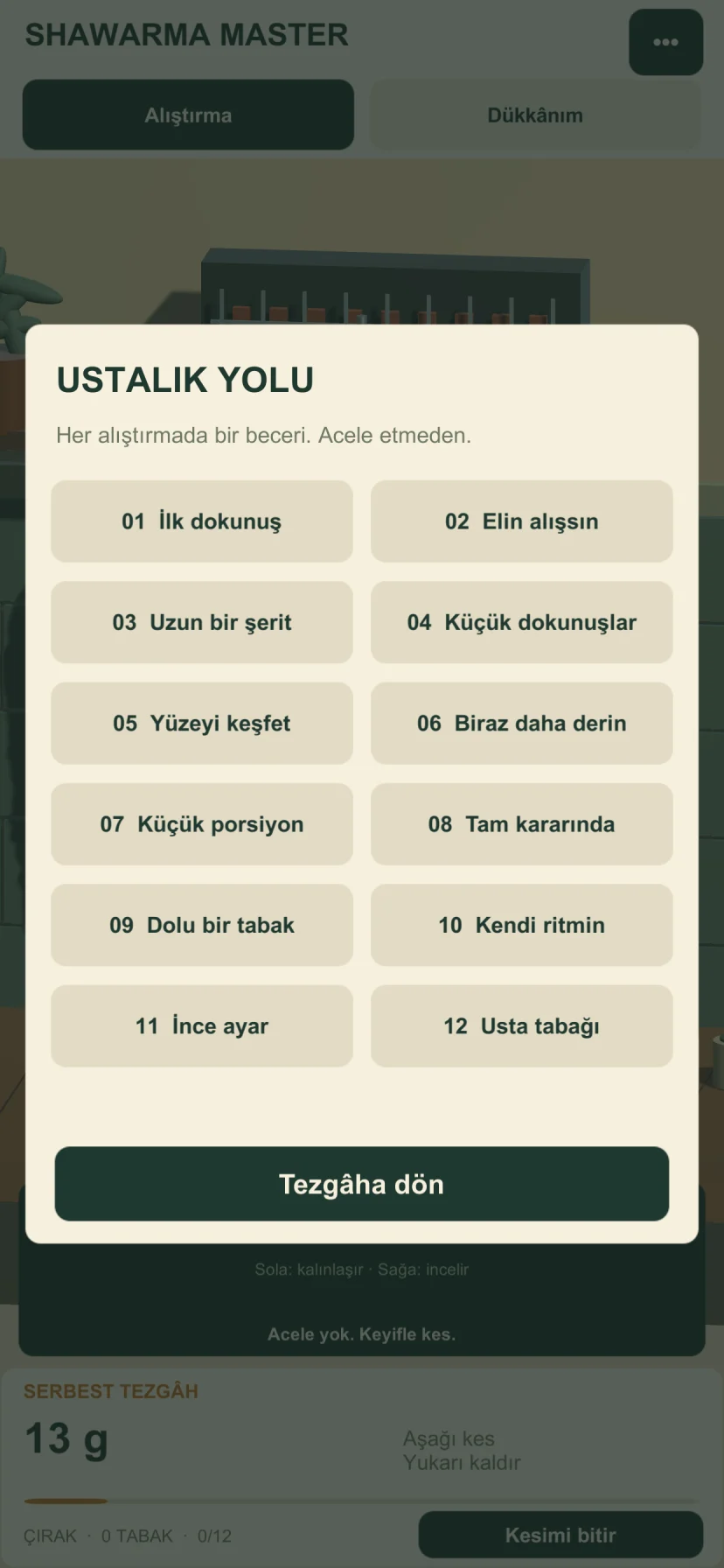 Shawarma Master mastery panel with slicing exercises and progress in Turkish.